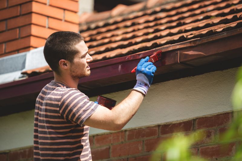 Shed Painting Service in Boulder, CO